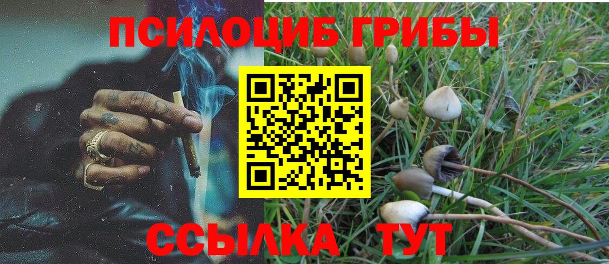 Псилоцибиновые грибы Psilocybine cubensis  Псилоцибиновые грибы мицелий  Острогожск  Вход с VPN 